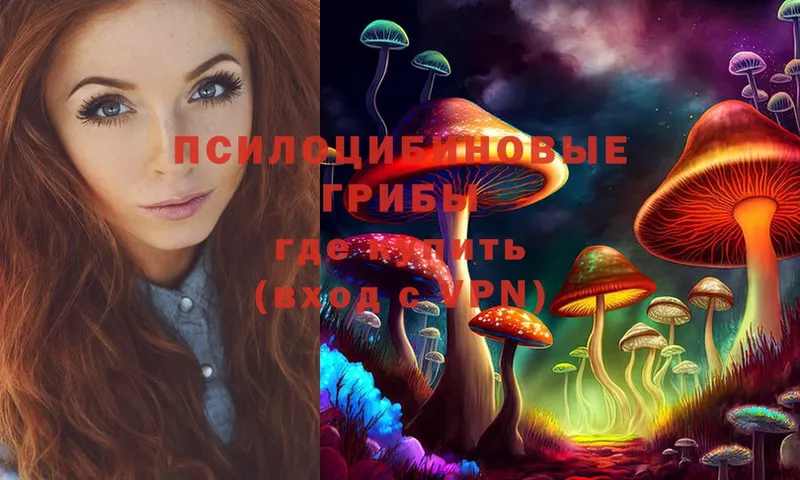 Псилоцибиновые грибы MAGIC MUSHROOMS  Лениногорск 